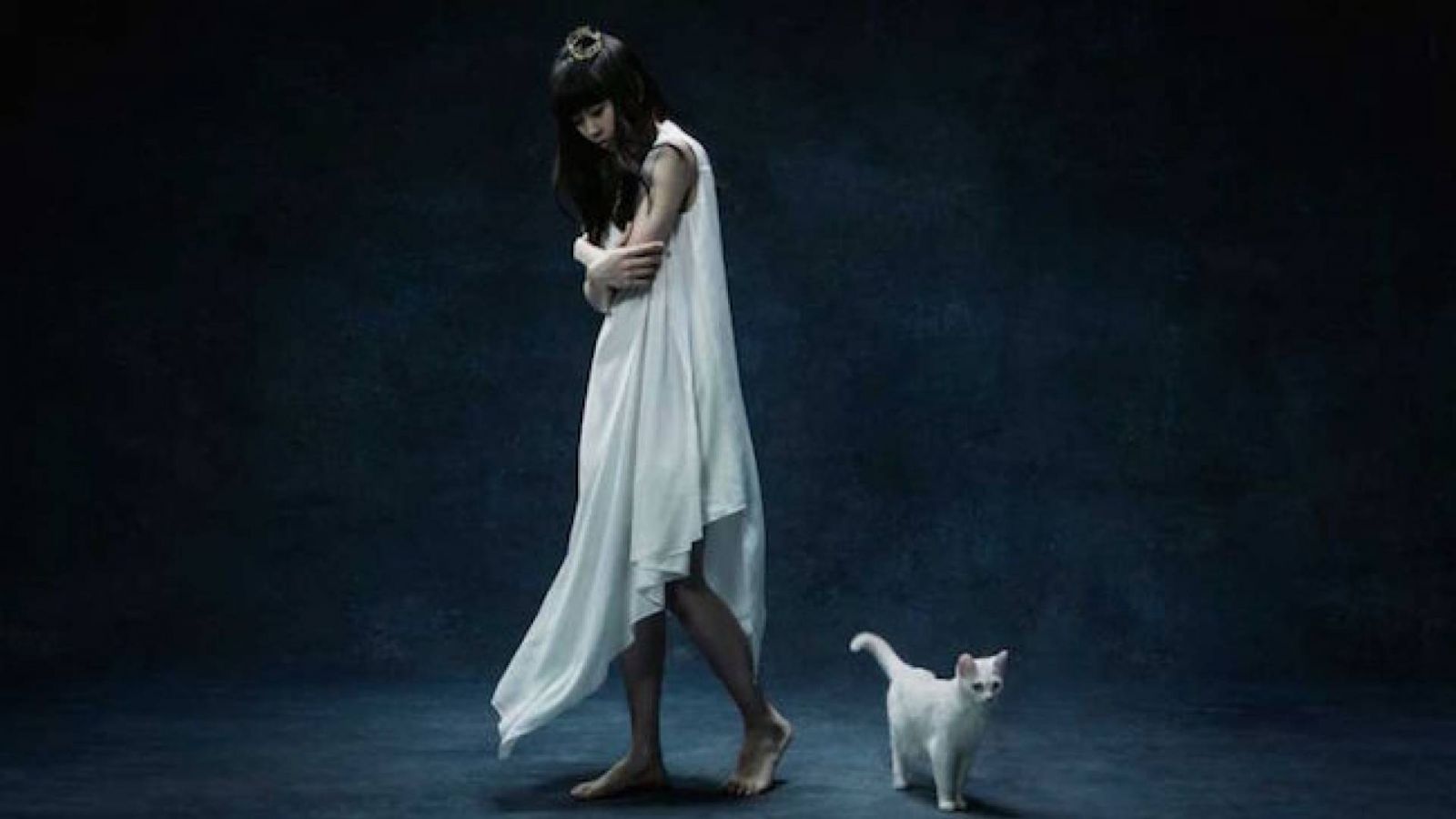 New Live Release from Aimer © Aimer
