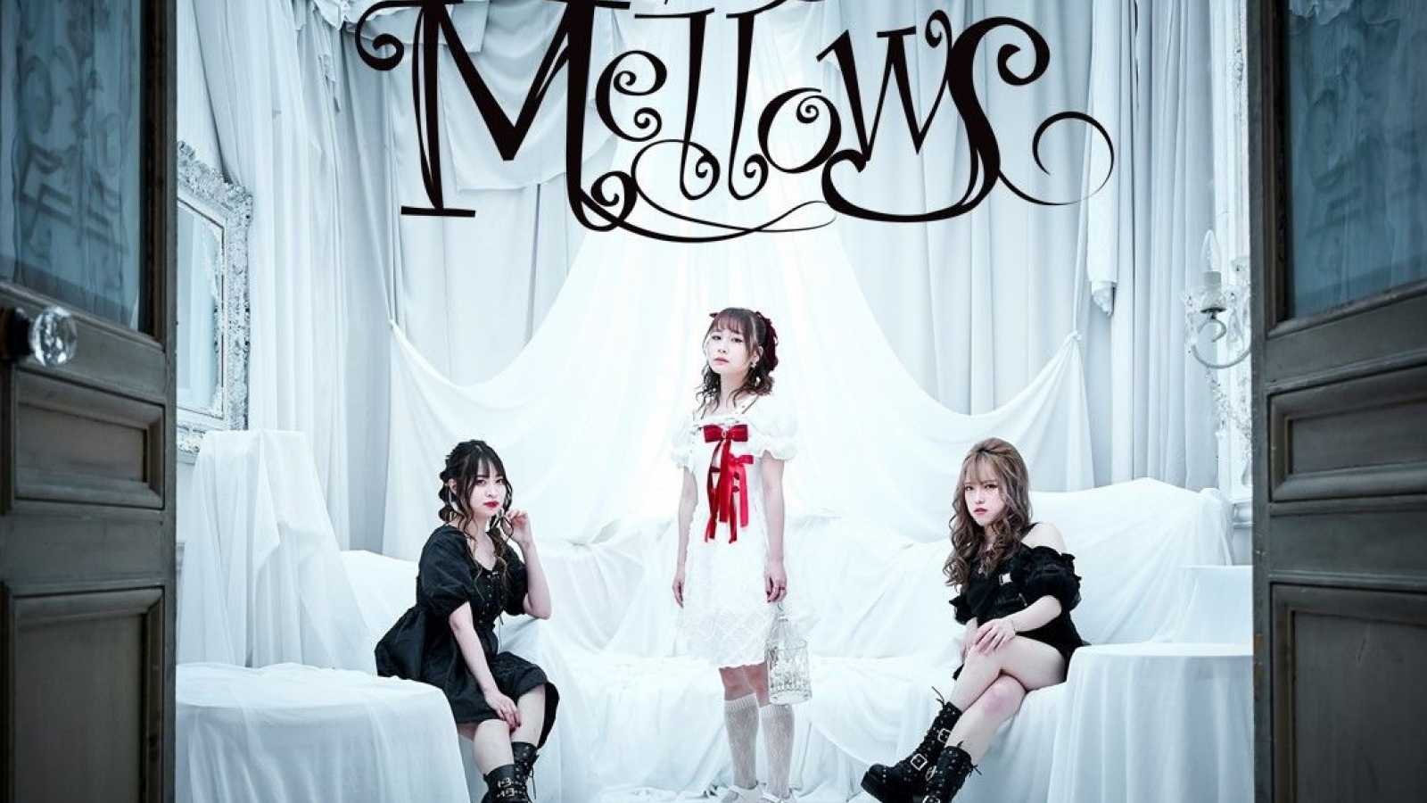 Metallikitarat söpöilyyn yhdistävä Mellows julkaisee ensimmäisen albuminsa © Mellows. MASHUP RECORDS. All rights reserved.