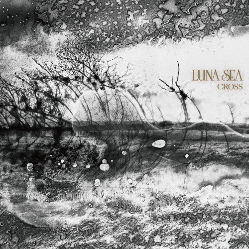 More Details on LUNA SEA's 30th Anniversary Album